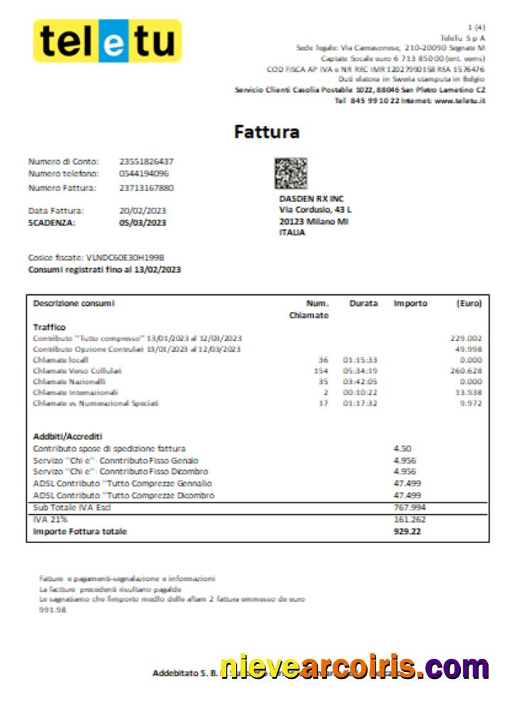 TeleTu S p A utility business bill